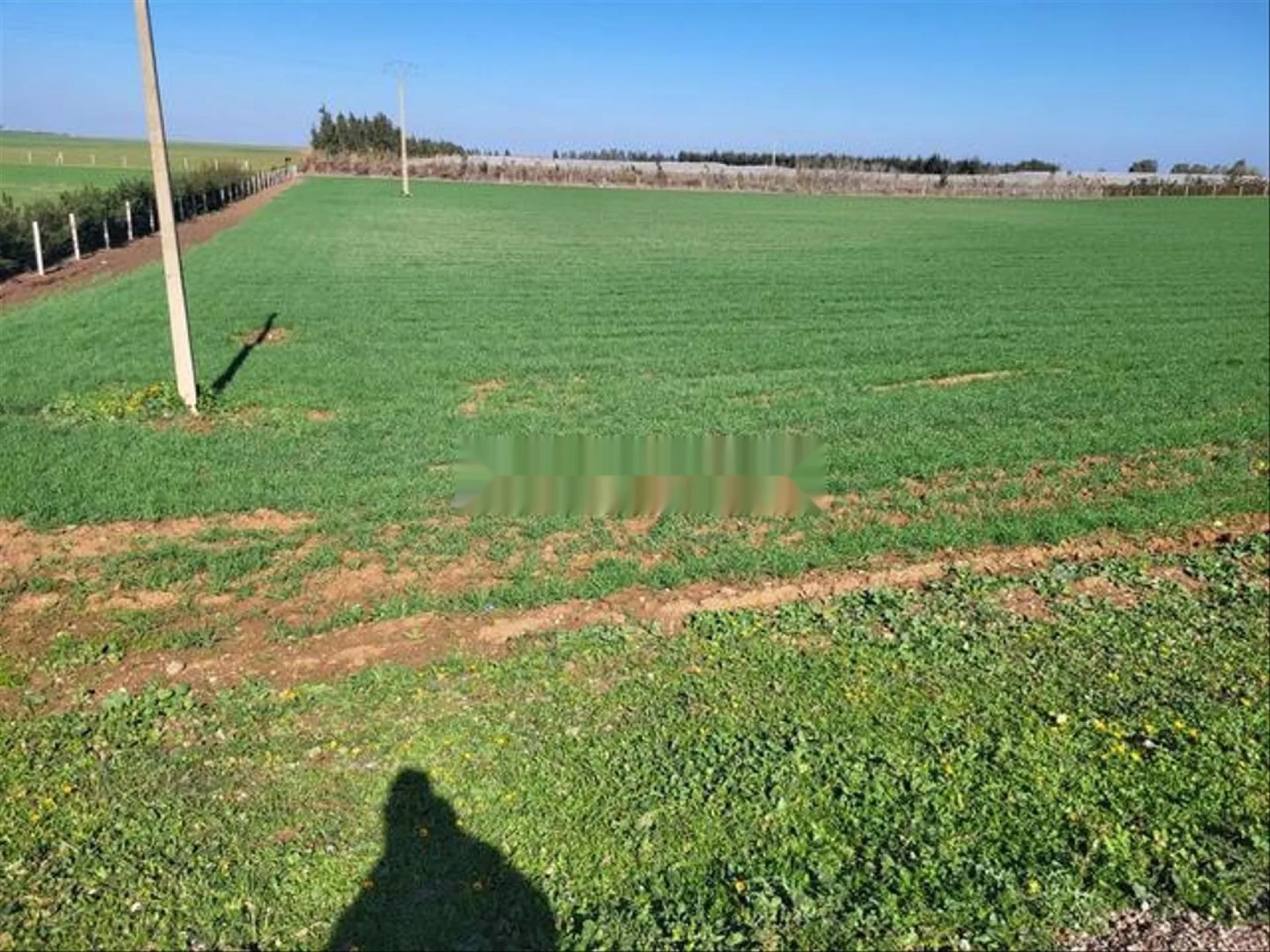 أراضٍ، فيلات ومزارع مملوكة بعقود · بئر الجديد