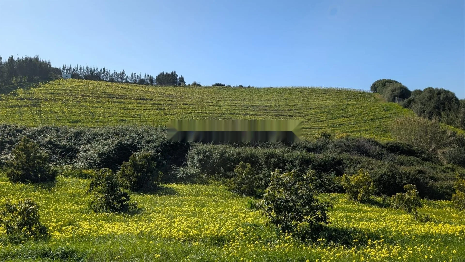 Ferme d'exception à vendre à Asilah