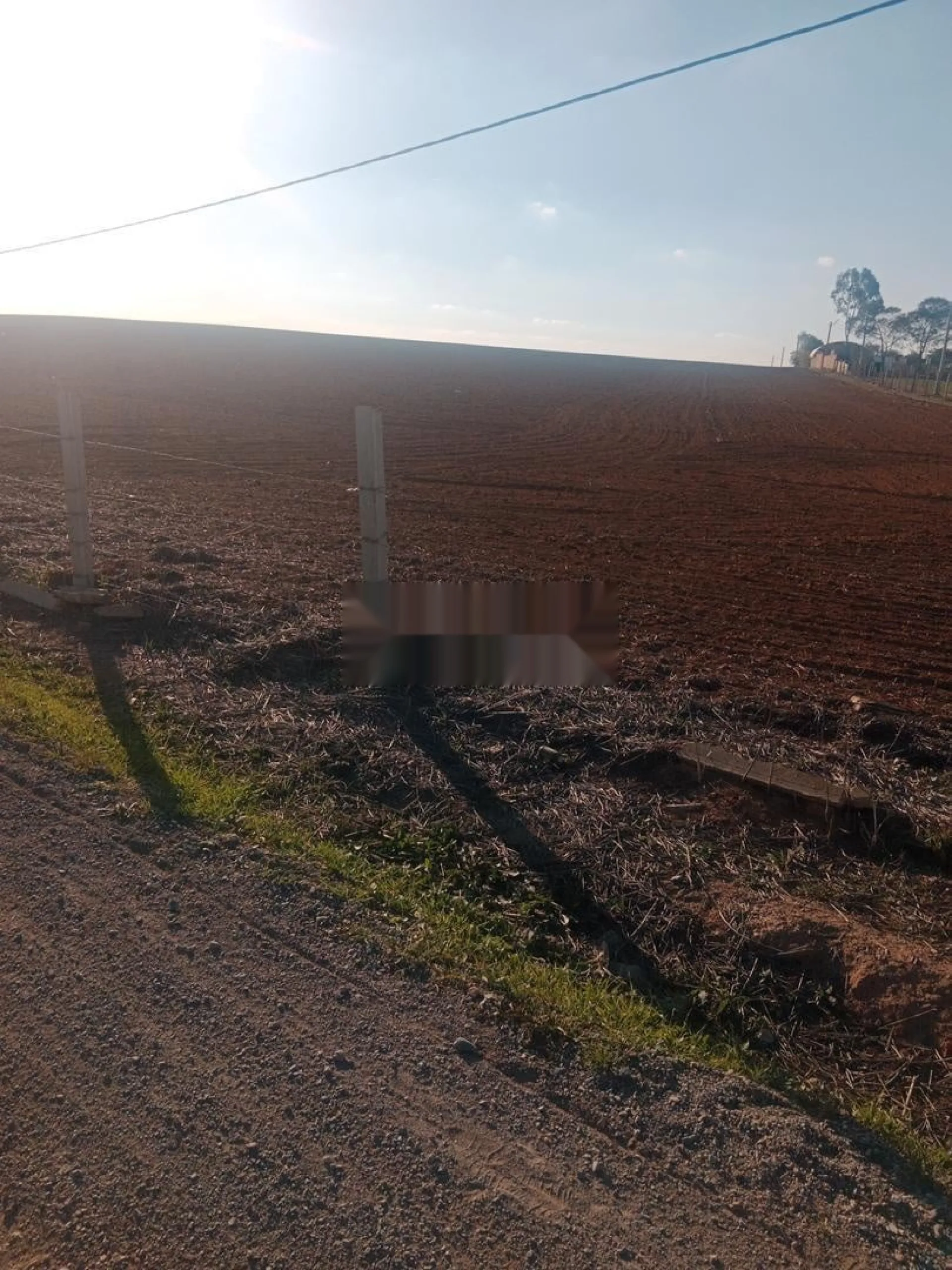 Terrain agricole