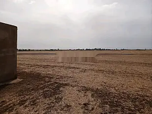 Terrain agricole de 3 hectares pour ferme