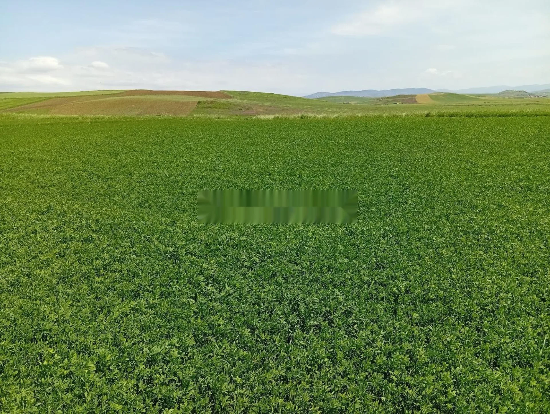 Terrain à vendre près de El Hedd Ouest 1 hectare et 5000 mètres