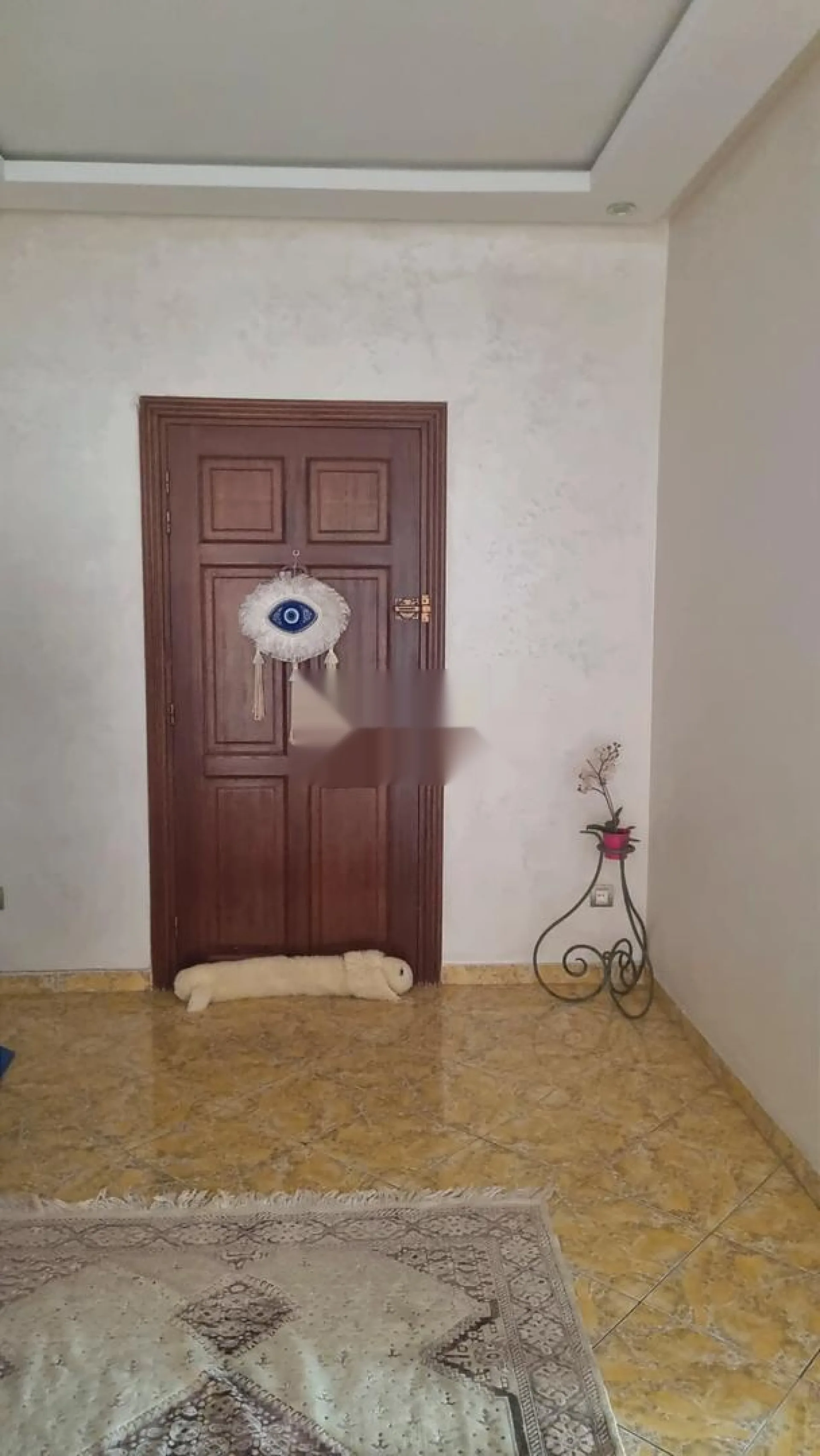 Bel appartement meublé à louer quartier Belvédère