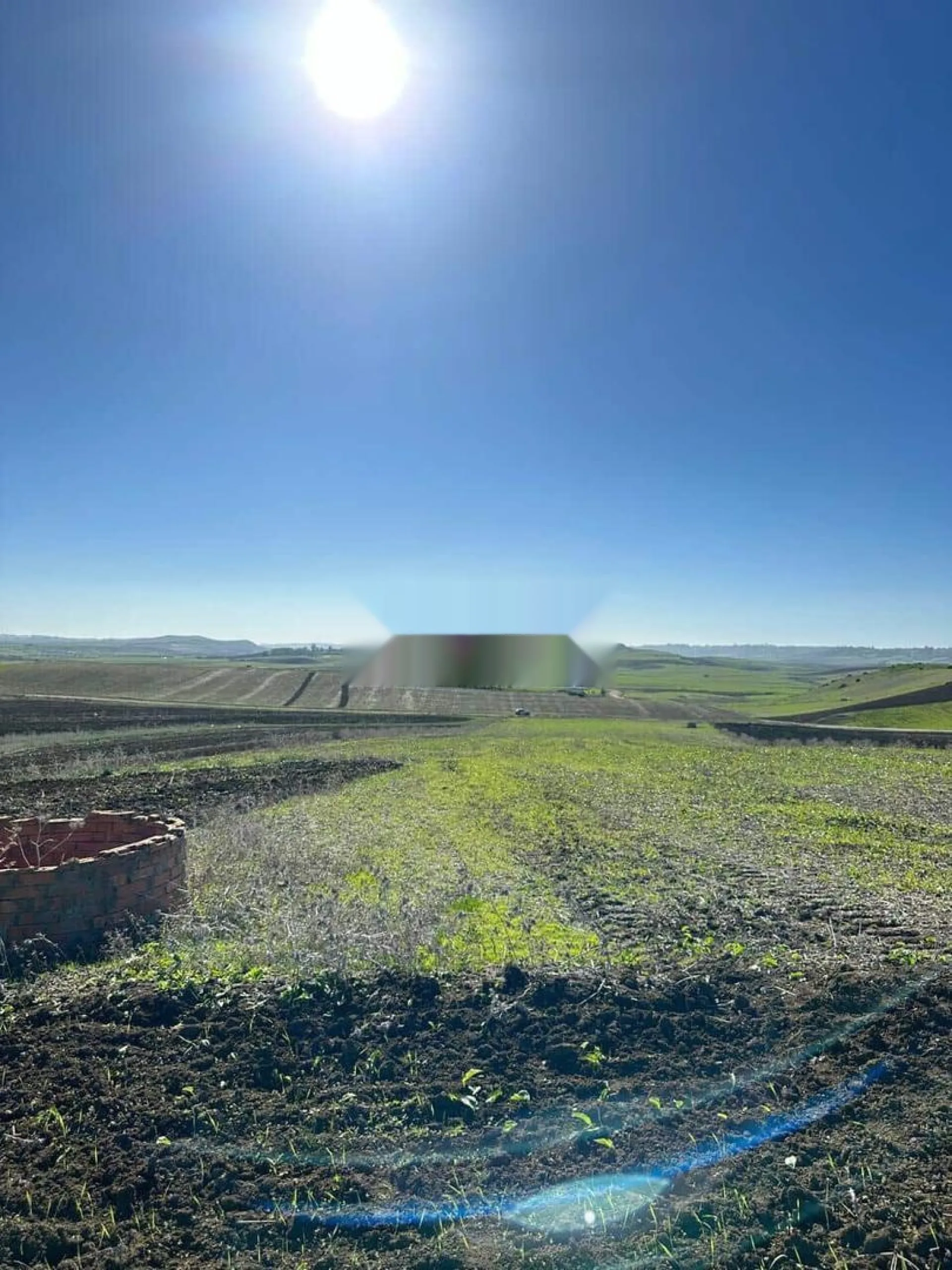 Terrain agricole enregistré à vendre