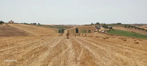 Terrain titre 7ha agricole Kamouni