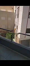 Regardez cette bonne affaire, appartement meublé à louer à Martil