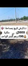 للبيع أرض بمساحة 2600 متر مربع بتاغزيرت