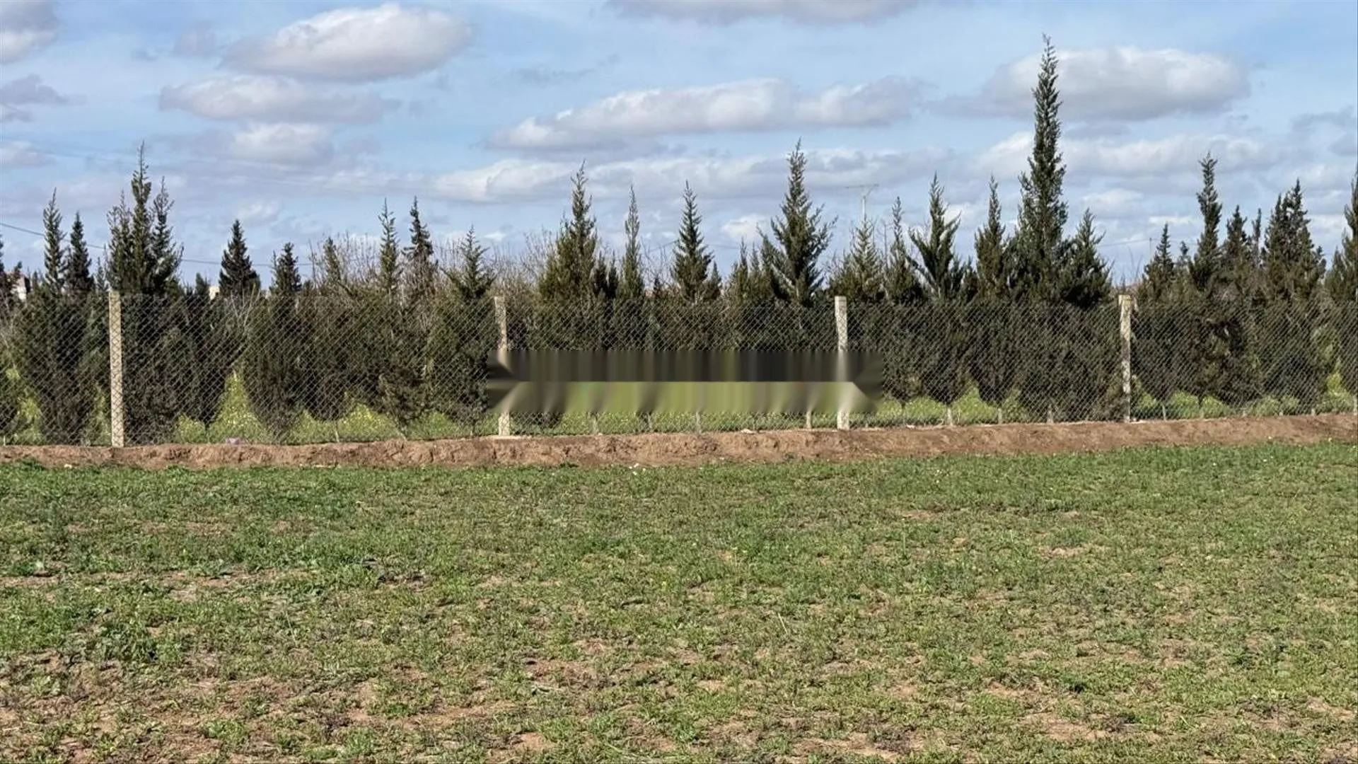 1.56 ha agricole titré à vendre à Benslimane