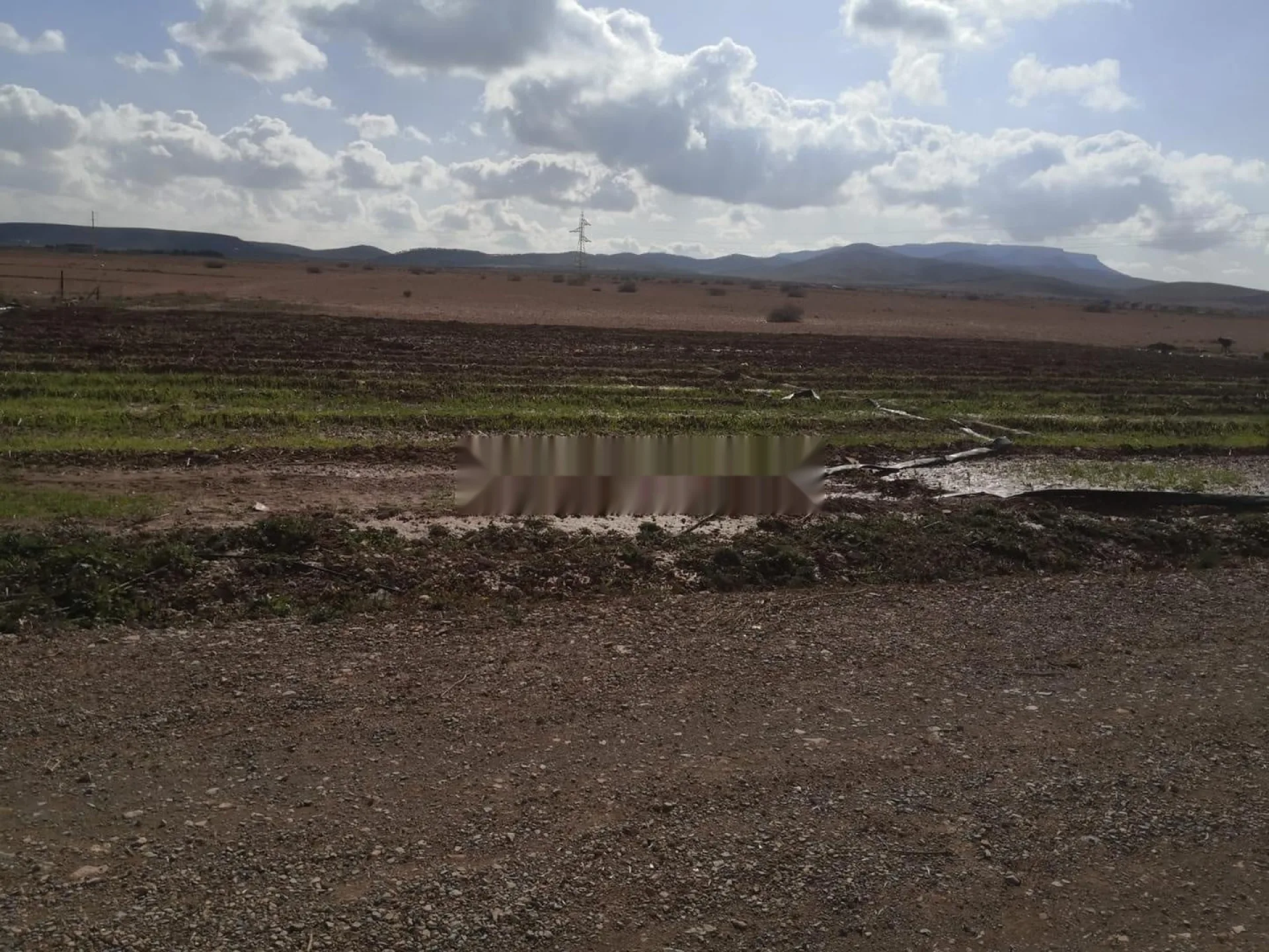 Terrain Agricole Oujda Ain Sfa Aéroport Oujda Angad