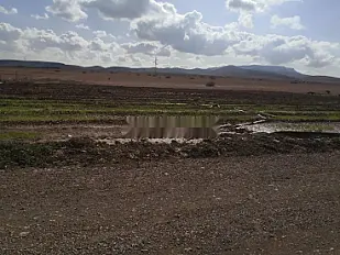 Terrain Agricole Oujda Ain Sfa Aéroport Oujda Angad