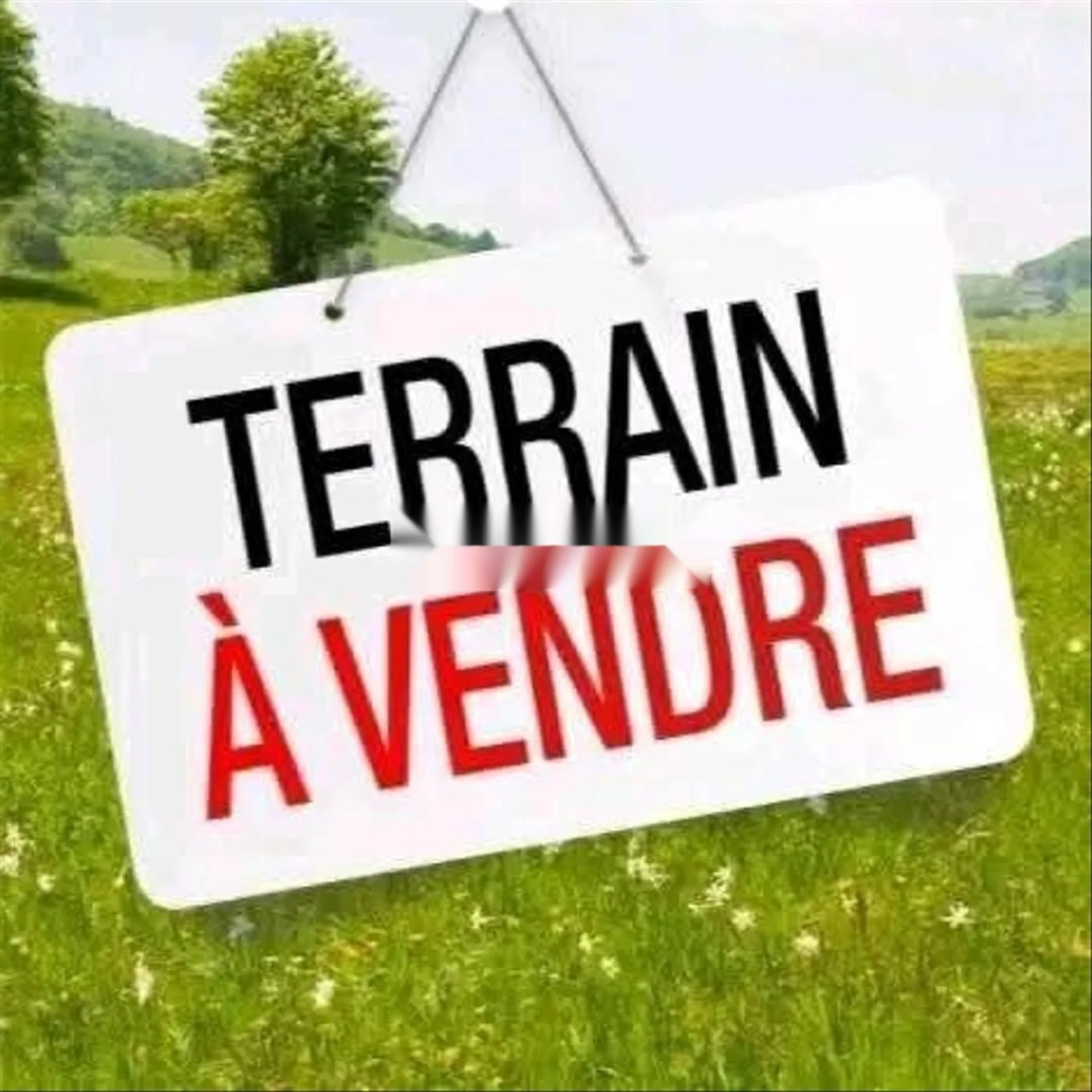 Terrain à vendre Mers El Kheir 3 hec R4