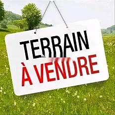 Terrain à vendre Mers El Kheir 3 hec R4