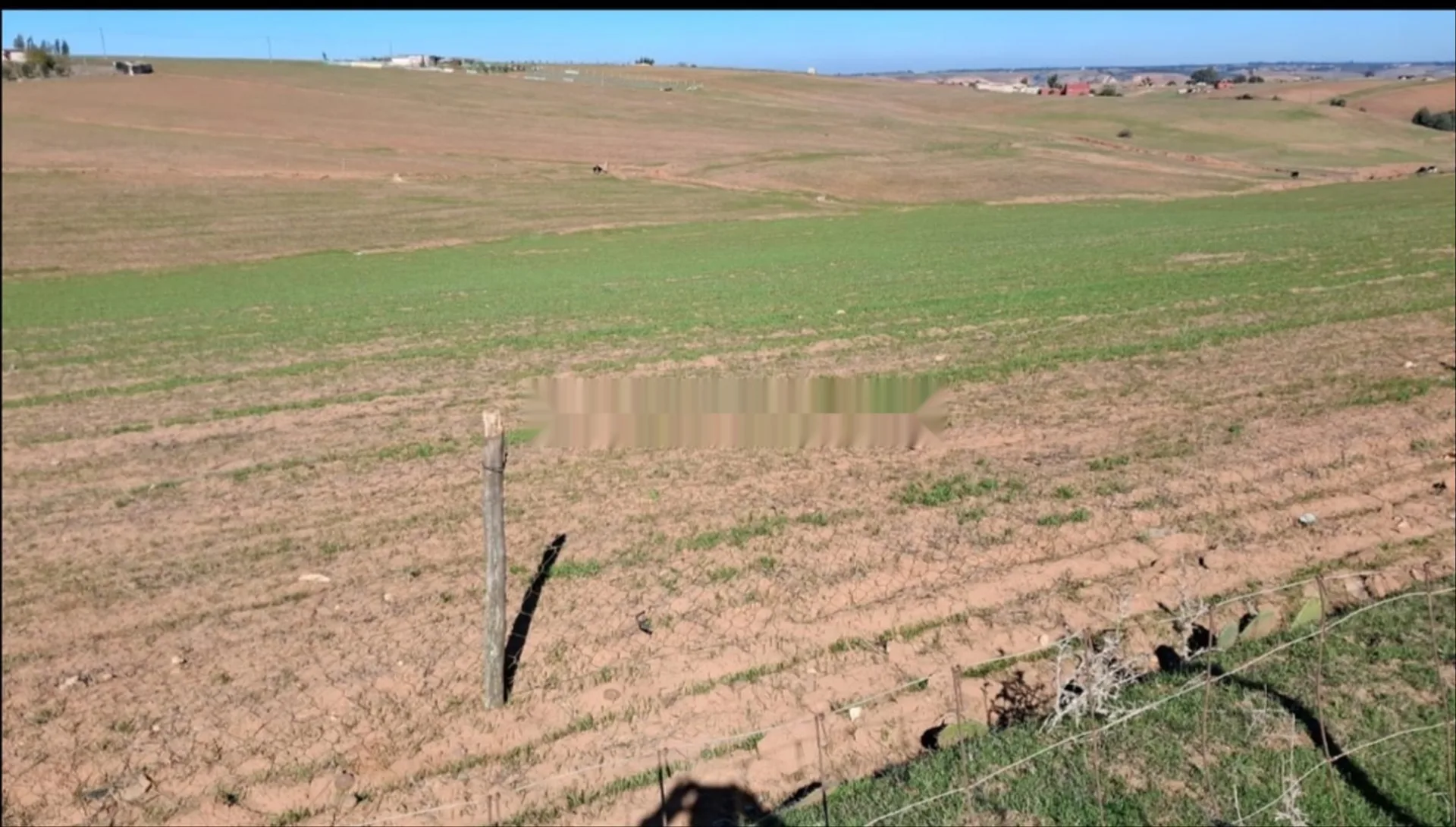 Terrain agricole Shoul