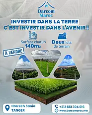 2 lots de