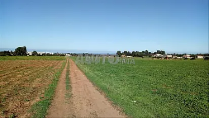 Terrains titrés à Sidi Rahal avec vue sur mer