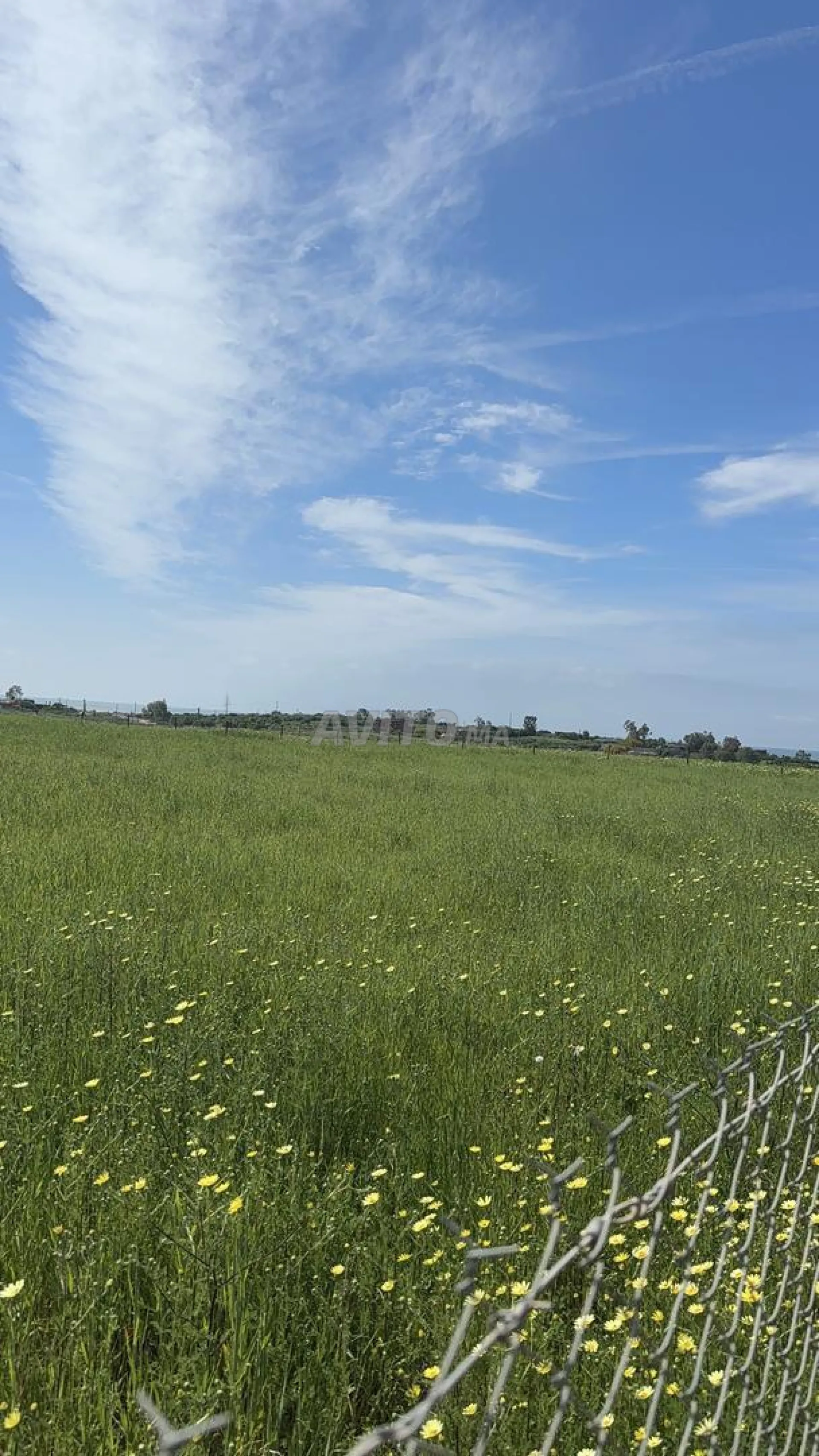 Hectare titré vue panoramique sur mer