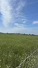 Hectare titré vue panoramique sur mer
