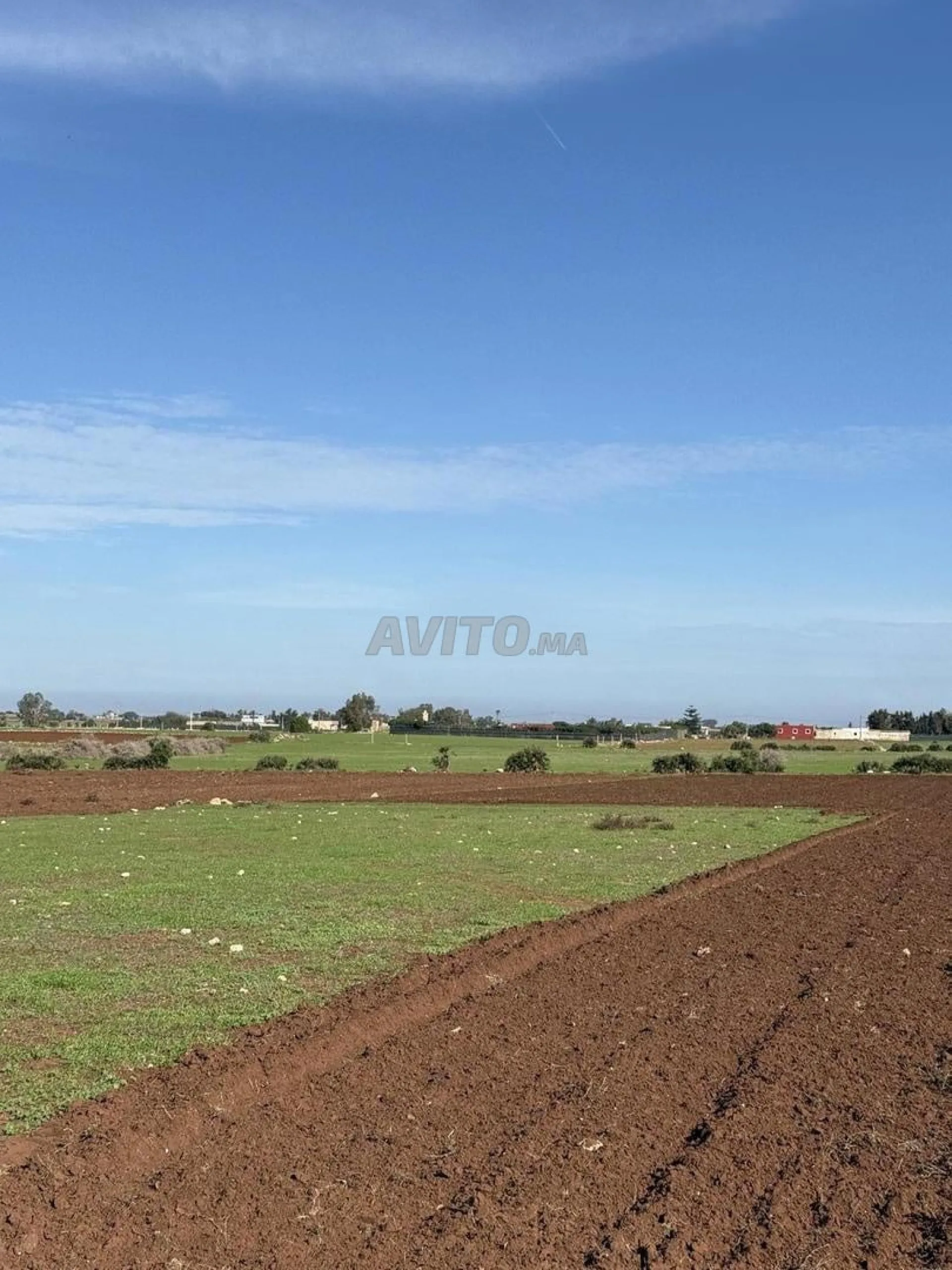 Hectare Titré offre exceptionnelle