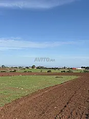 Hectare Titré offre exceptionnelle