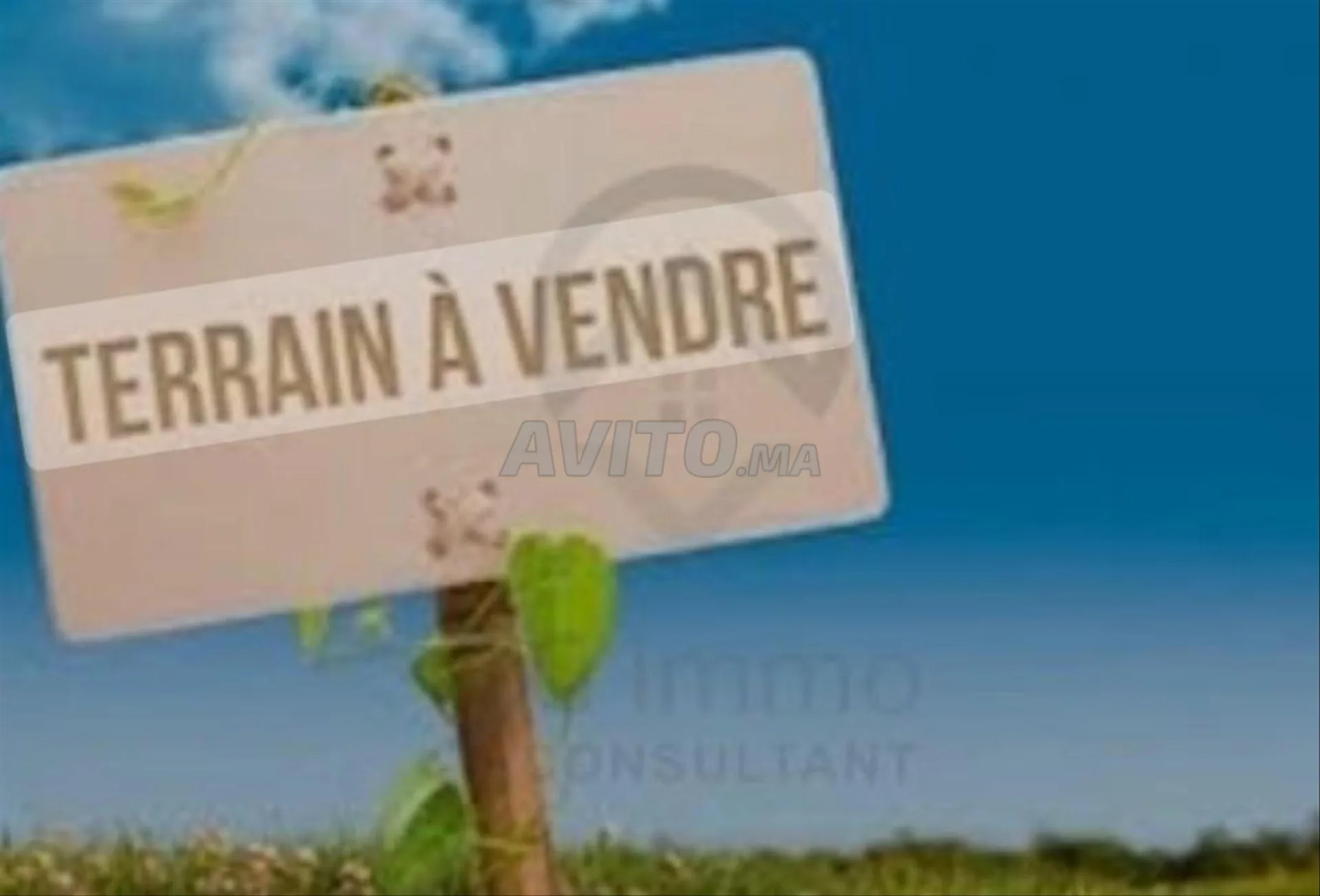 Terrain villa Hay Zaitoun à vendre 354 m²