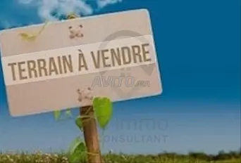 Terrain villa Hay Zaitoun à vendre 354 m²