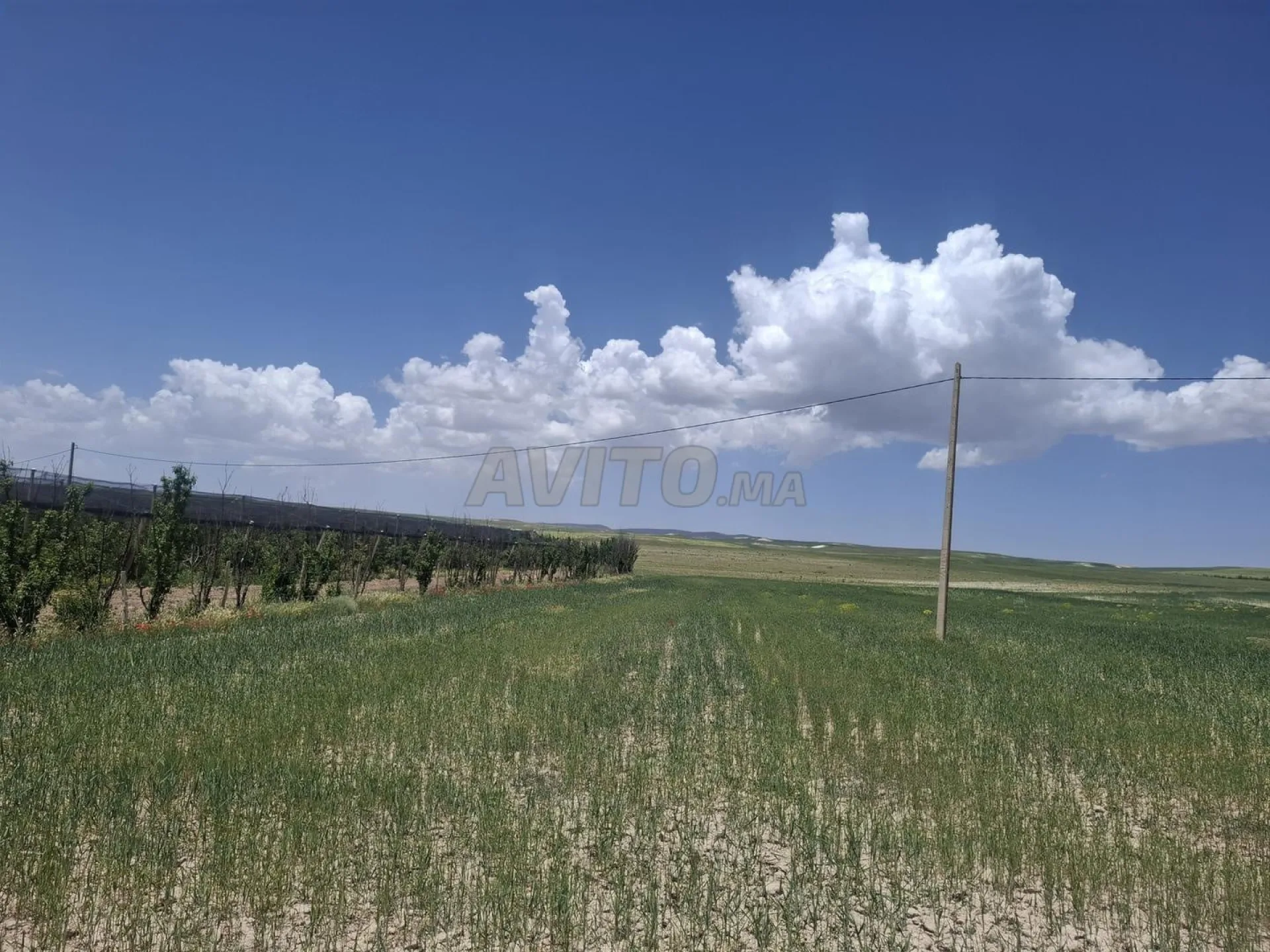 2 hectares agricoles enregistrés