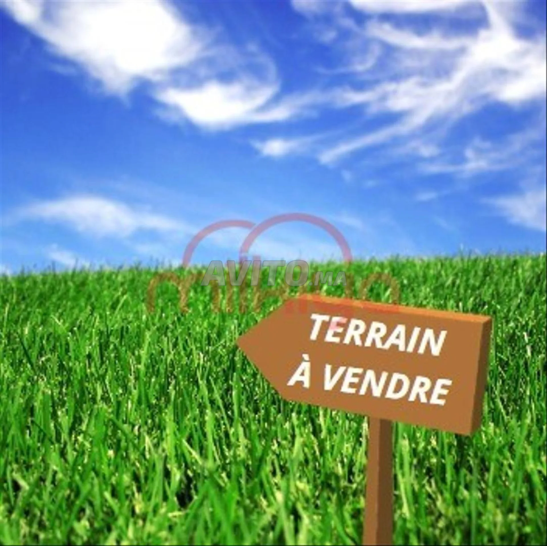 Vente Terrain nu de 90000 m2