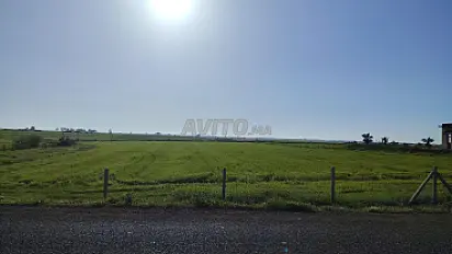 15 hectares en extension de la périphérie urbaine.
