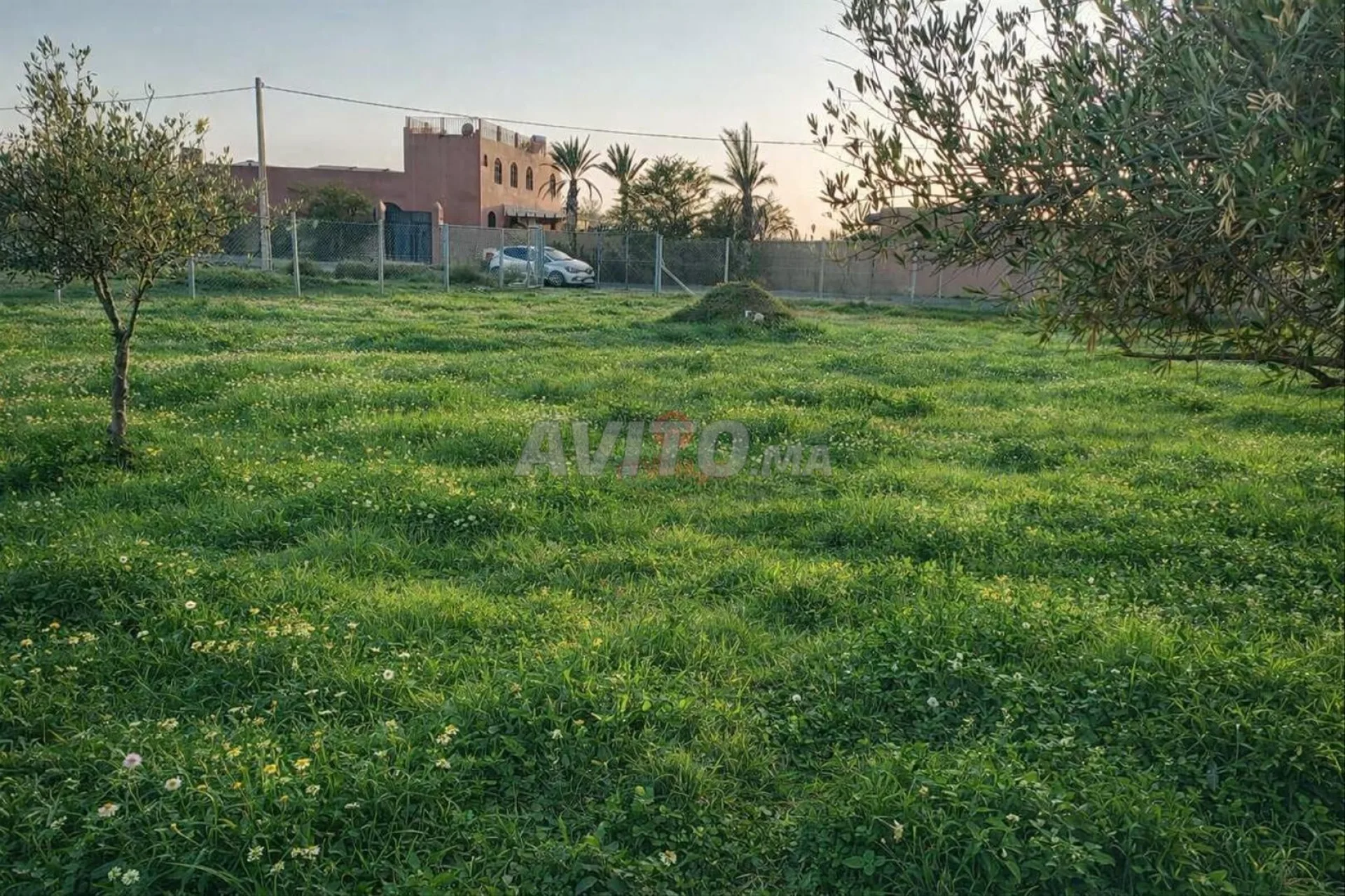 Vente Terrain nu de 2763 m2