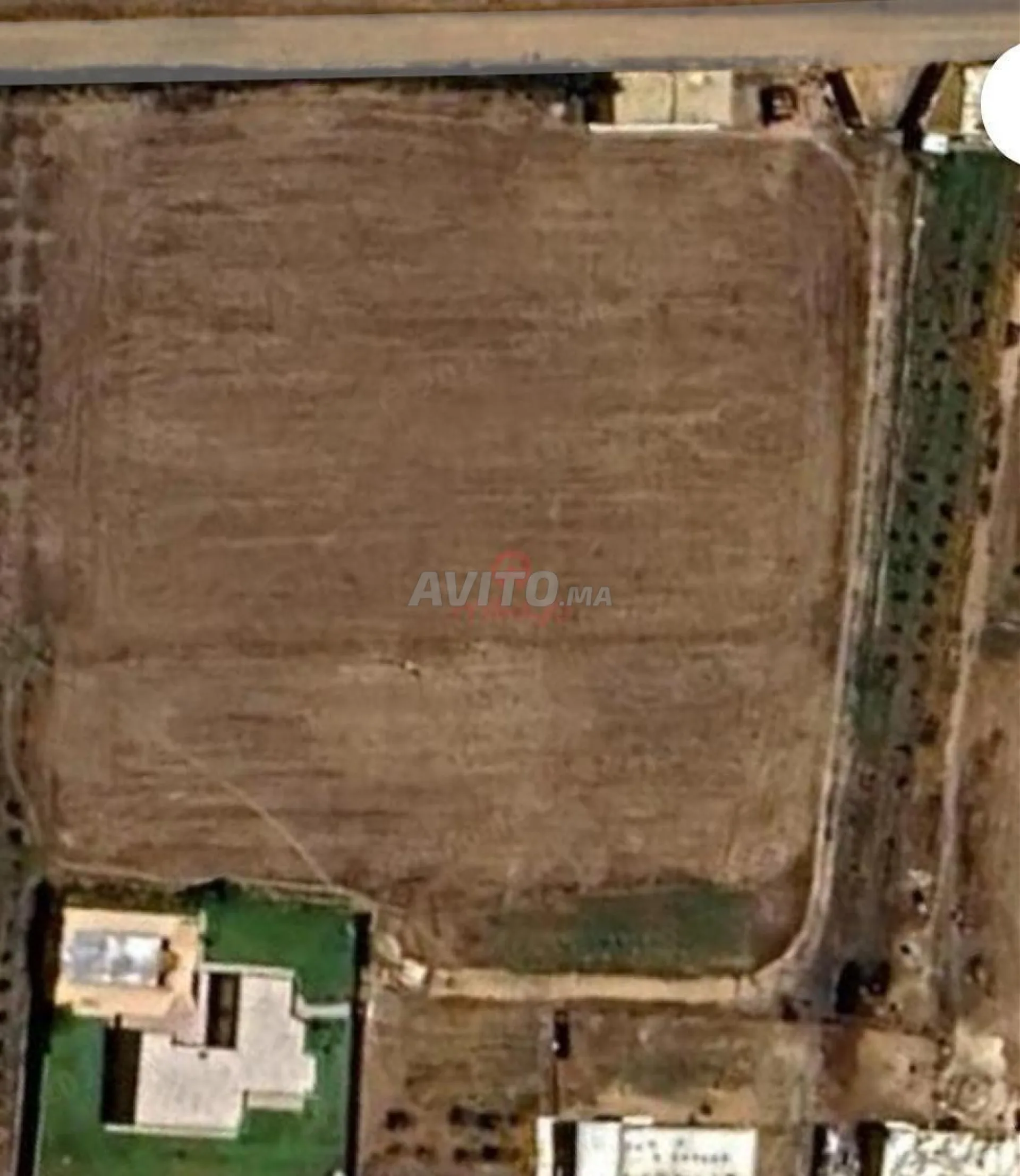 Vente Ferme de 10000 m2 à Had Soualem