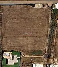 Vente Ferme de 10000 m2 à Had Soualem