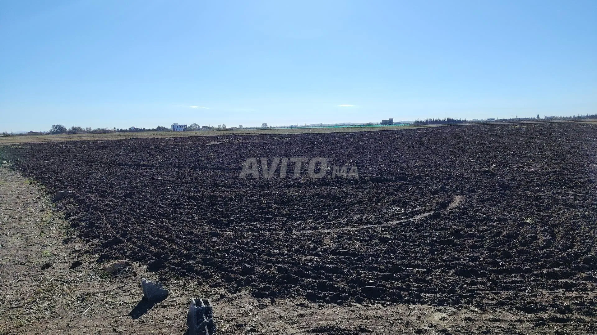 1.15 ha titré à Benslimane ain laksab