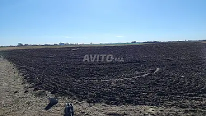 1.15 ha titré à Benslimane ain laksab
