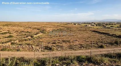 Vente Terrain nu de 8337 m2 à Tit Mellil