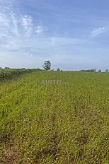 Terrain à vendre 3 Hectares titré à 35 min de Casa