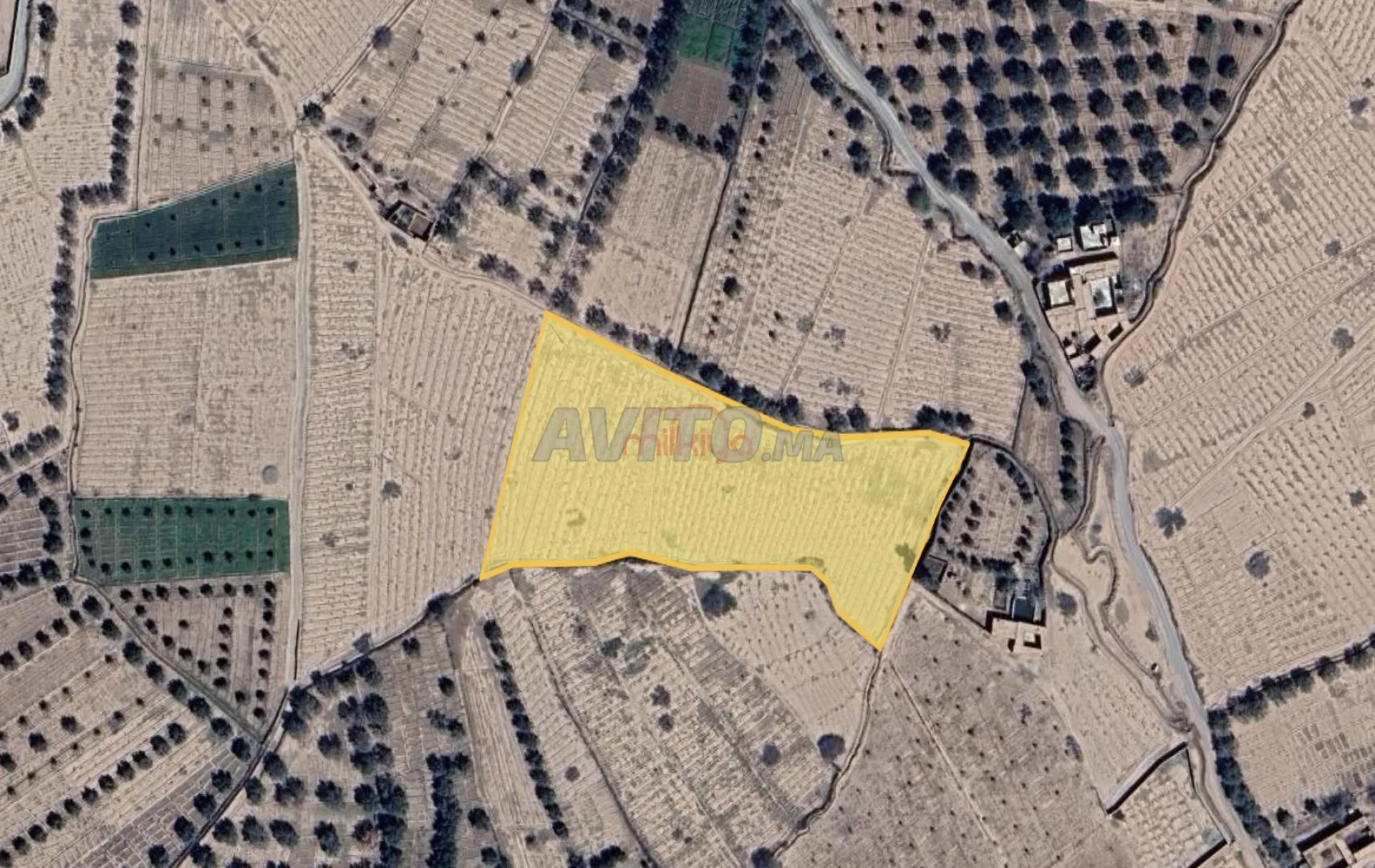 Vente Terrain nu de 11000 m2