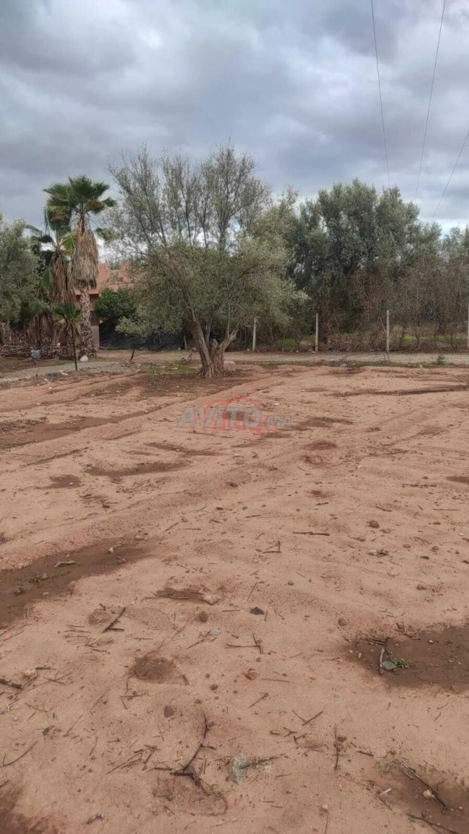 Vente Terrain nu de 700 m2
