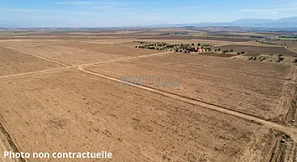 Vente Terrain nu de 15294 m2 à Berrechid