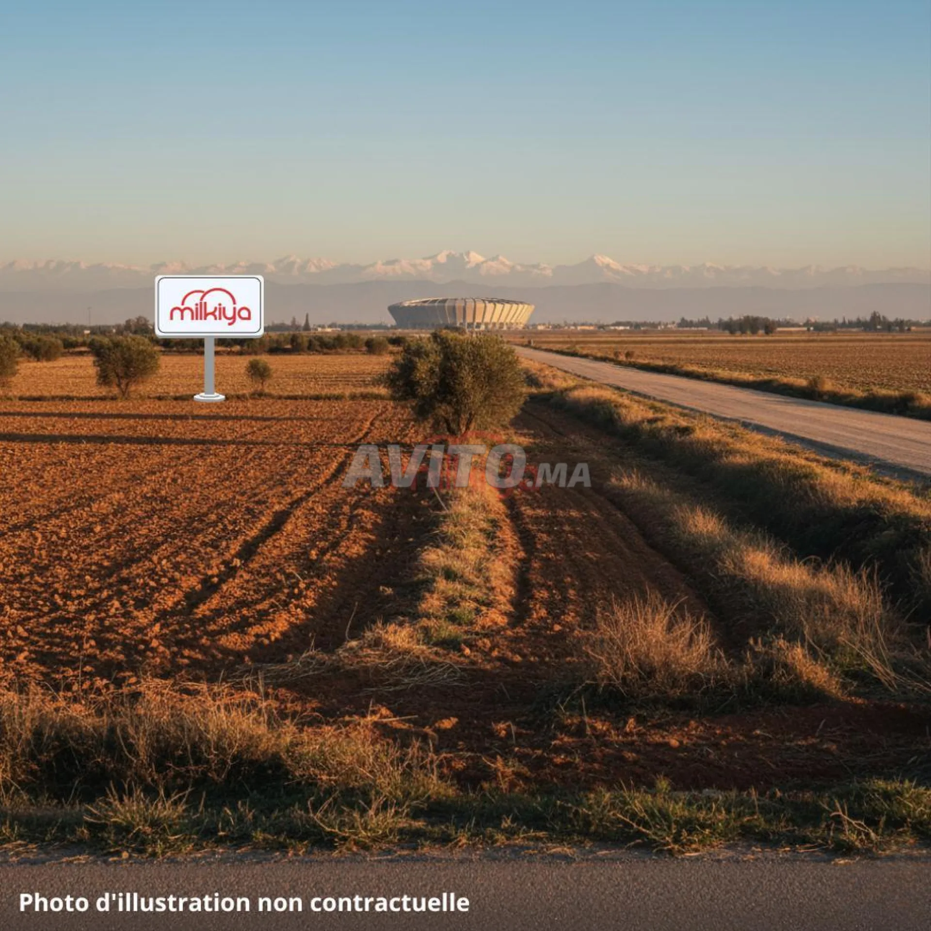 Vente Terrain agricole de 4200 m²