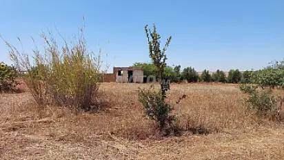 Terrain titre 3ha Tiflet Ait Al Ghazi