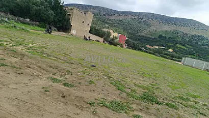 fryata rtmata