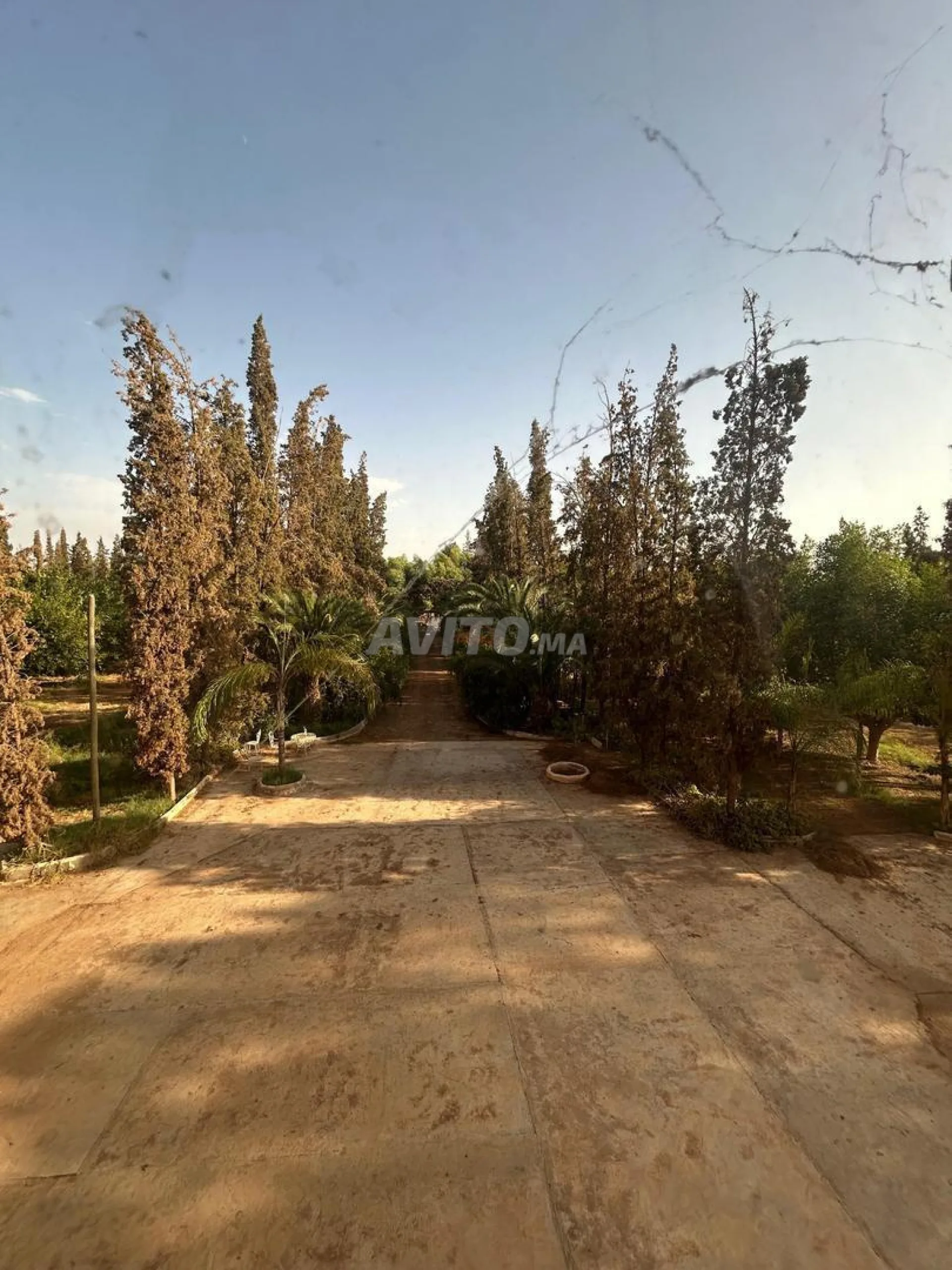 Vente Terrain agricole de 260000 m2