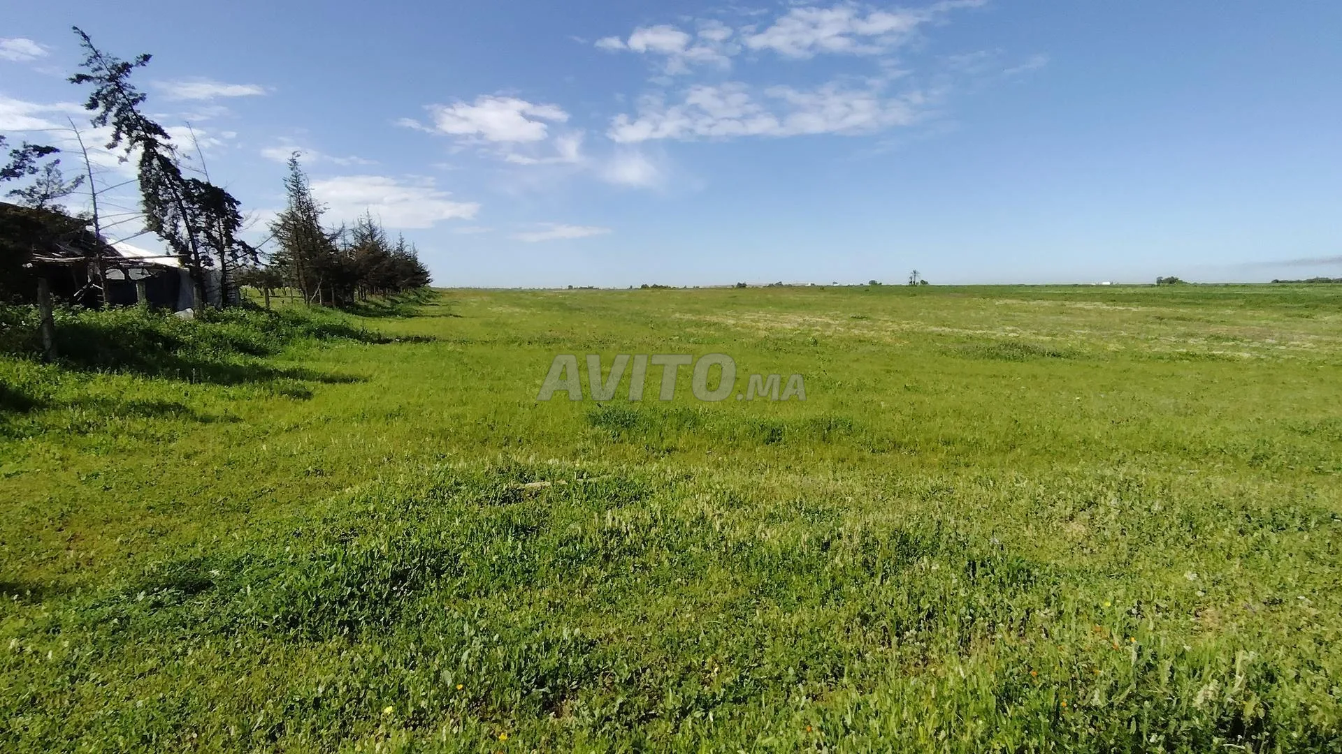 3.63 ha titré sur la route à Benslimane ain laksab