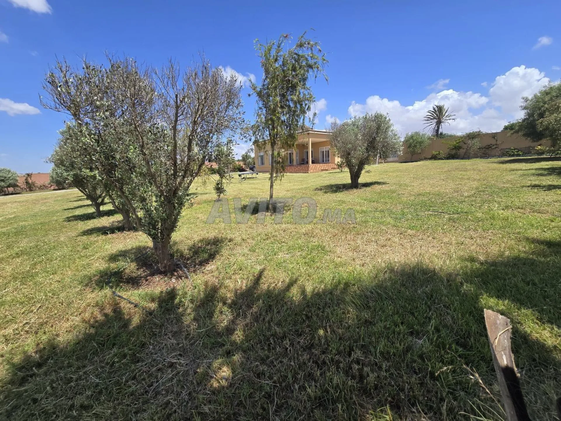 Petite ferme à vendre