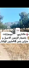 للبيع أرض مع عقد ملكية مساحتها 2 هكتار