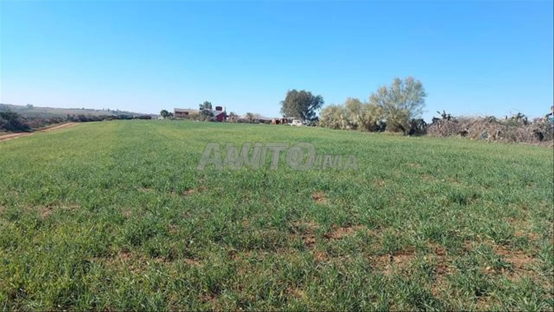 Terrains titrés exceptionnels pour habitation avec vue sur mer à Sidi Rahal