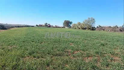 Terrains titrés exceptionnels pour habitation avec vue sur mer à Sidi Rahal