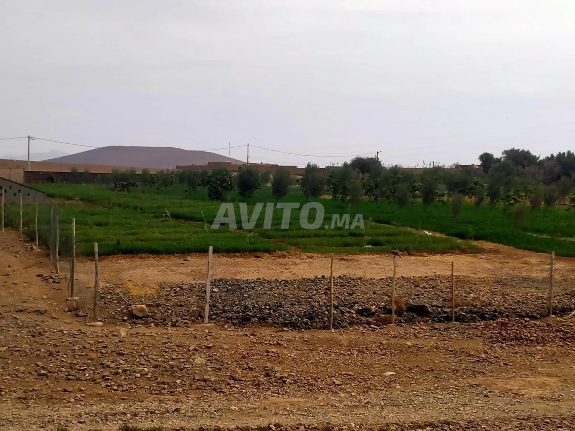 Terrain Villa 19km Marrakech bon afir
