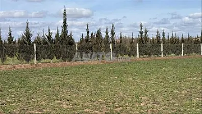 Terrains et fermes titrés la région de Bir Jdid (ОБ)