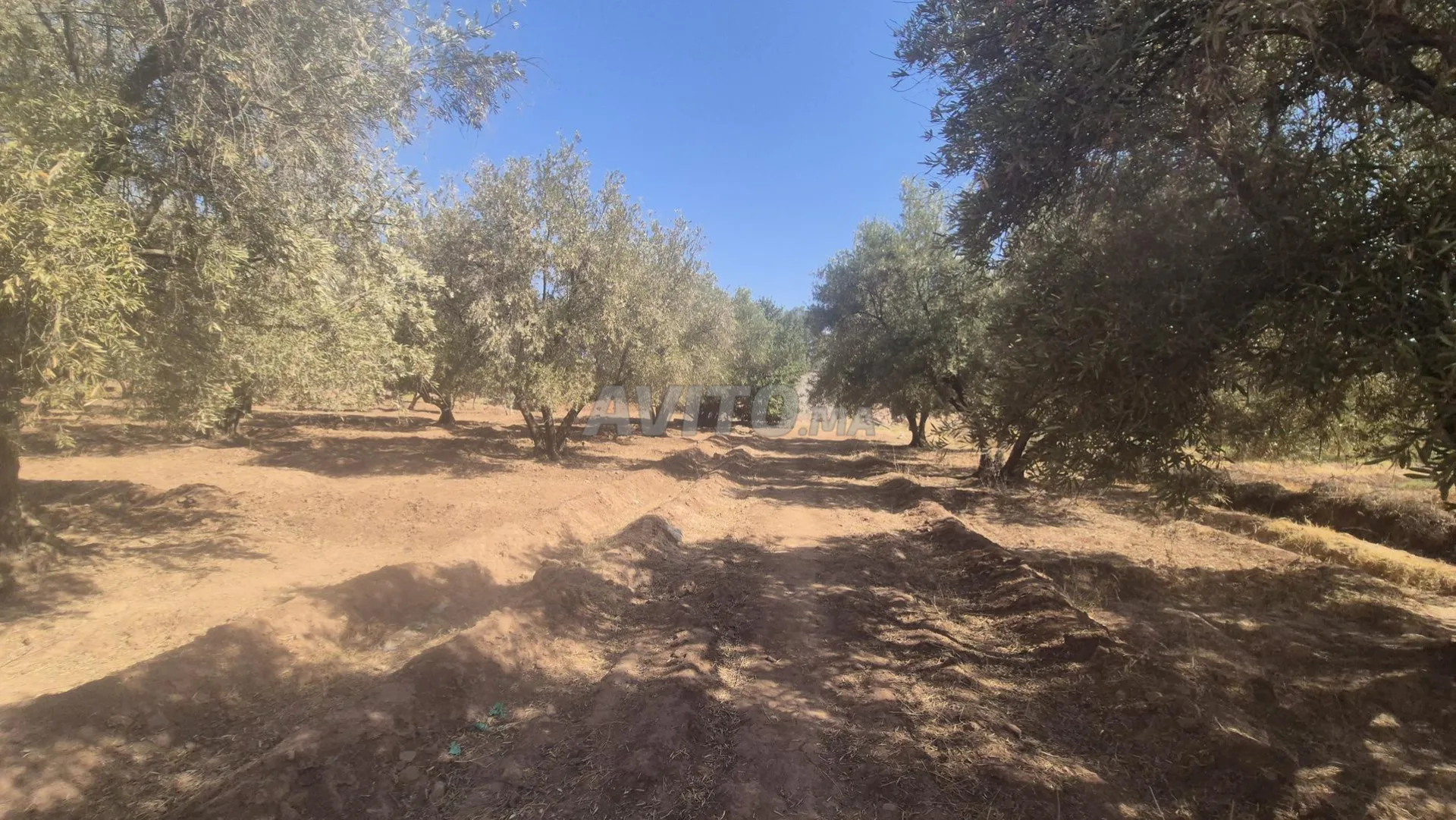 Terrain 2 hectares au Km25
