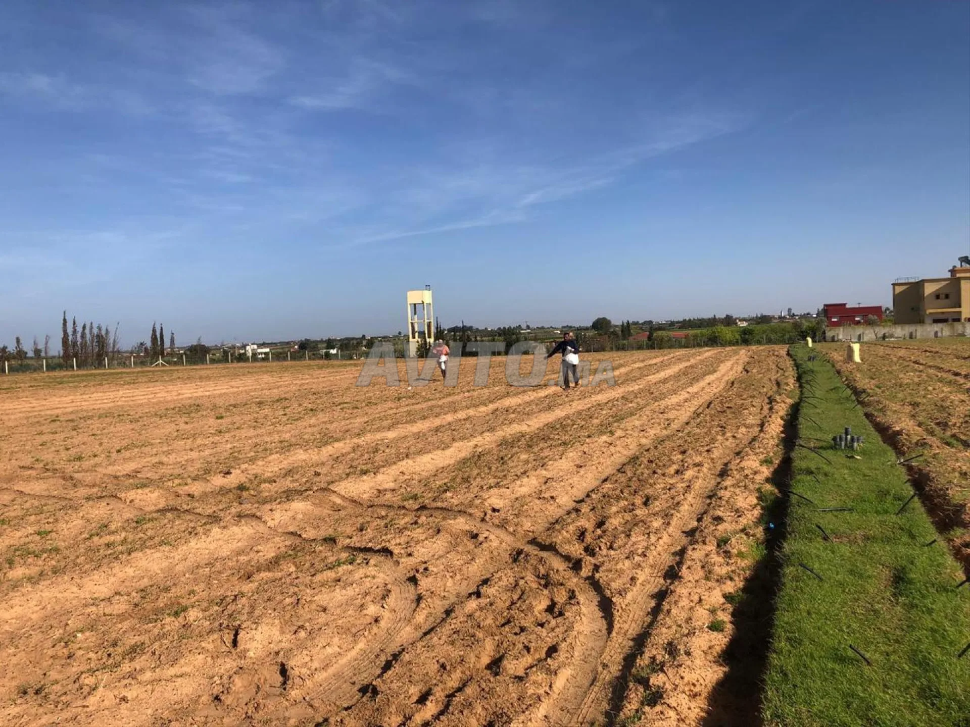 Terrain agricole Titré avec puits et Électricité